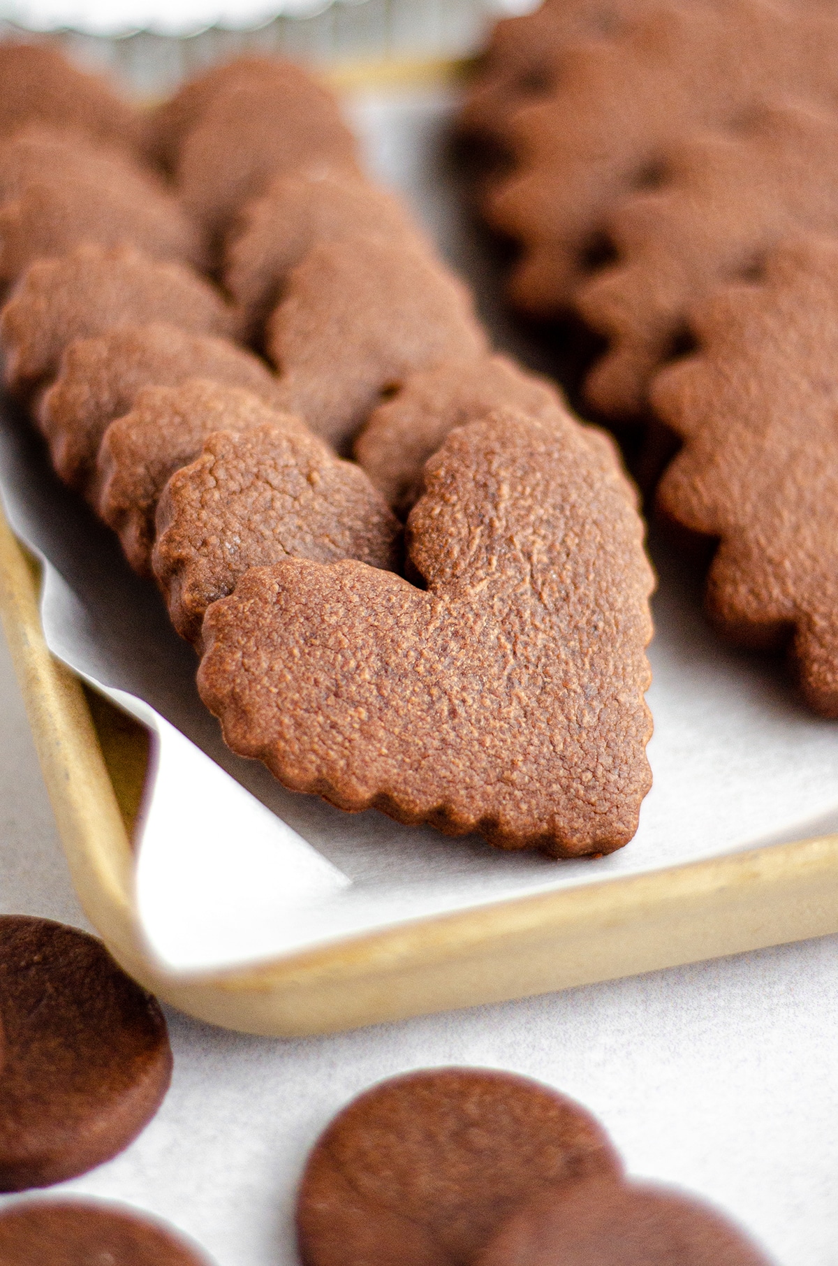 heart shaped undecorated chocolate cut-out sugar cookies on a plate 