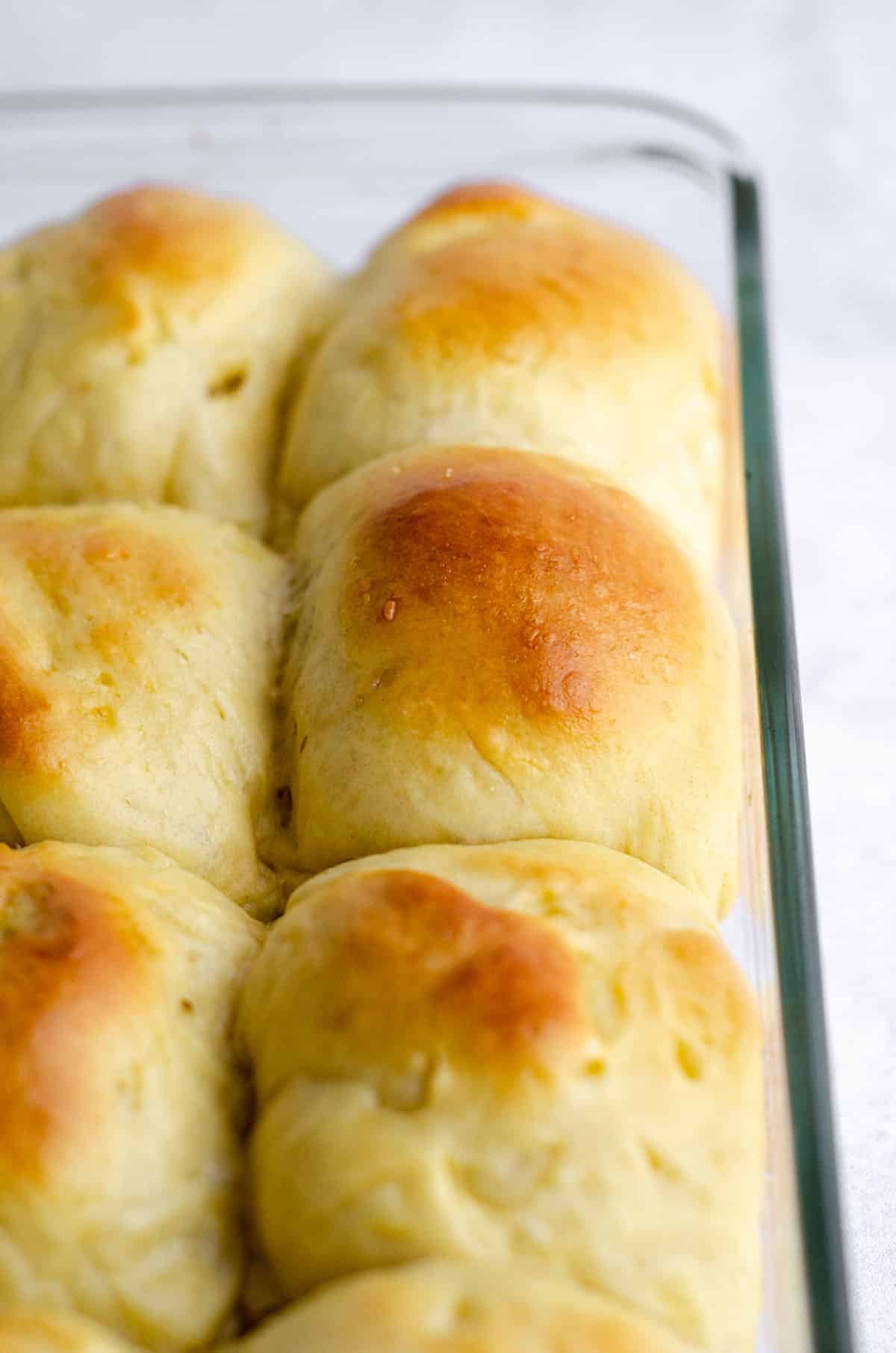 baked easy yeast rolls in a glass baking pan