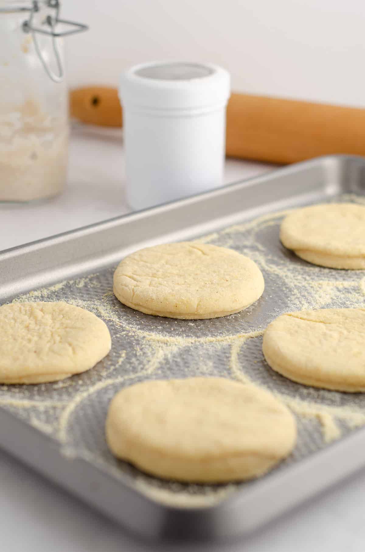 sourdough english muffin dough sitting on a baking sheet with cornmeal ready to cook