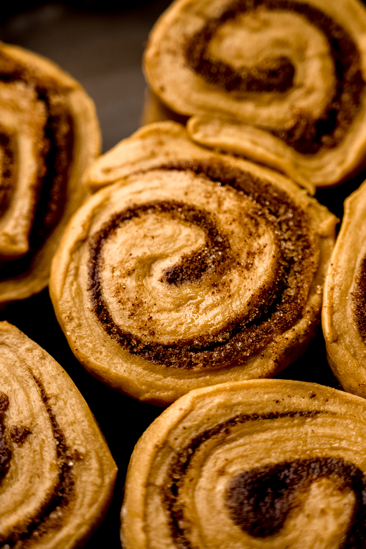 Coffee cinnamon rolls in a baking dish before being baked.