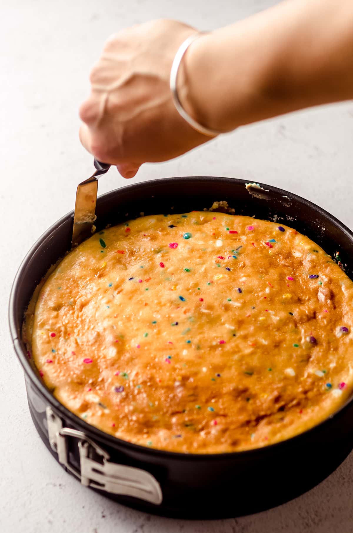 using a spatula to release funfetti cheesecake from the outer ring of the springform pan