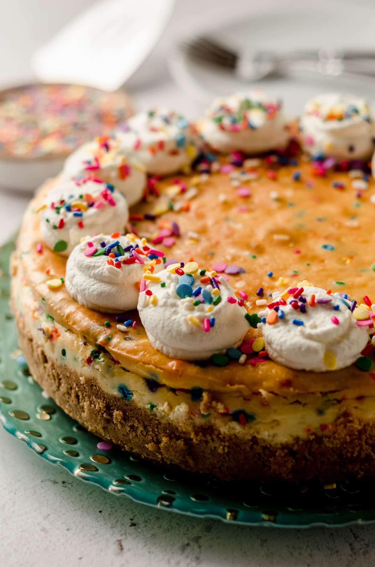 funfetti cheesecake on a plate