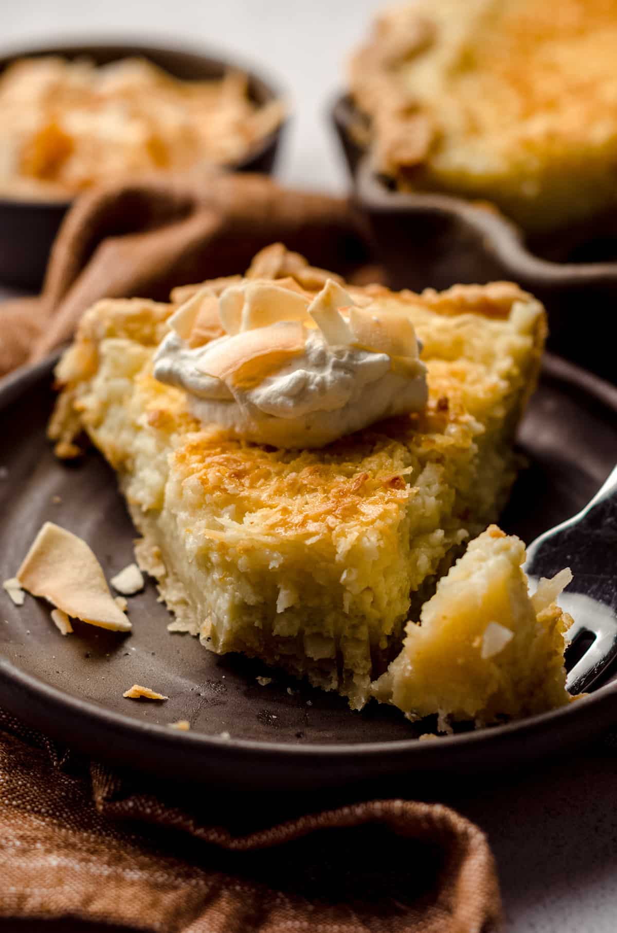 A custard based pie with shredded coconut on top, a fork having removed a bite from the end.