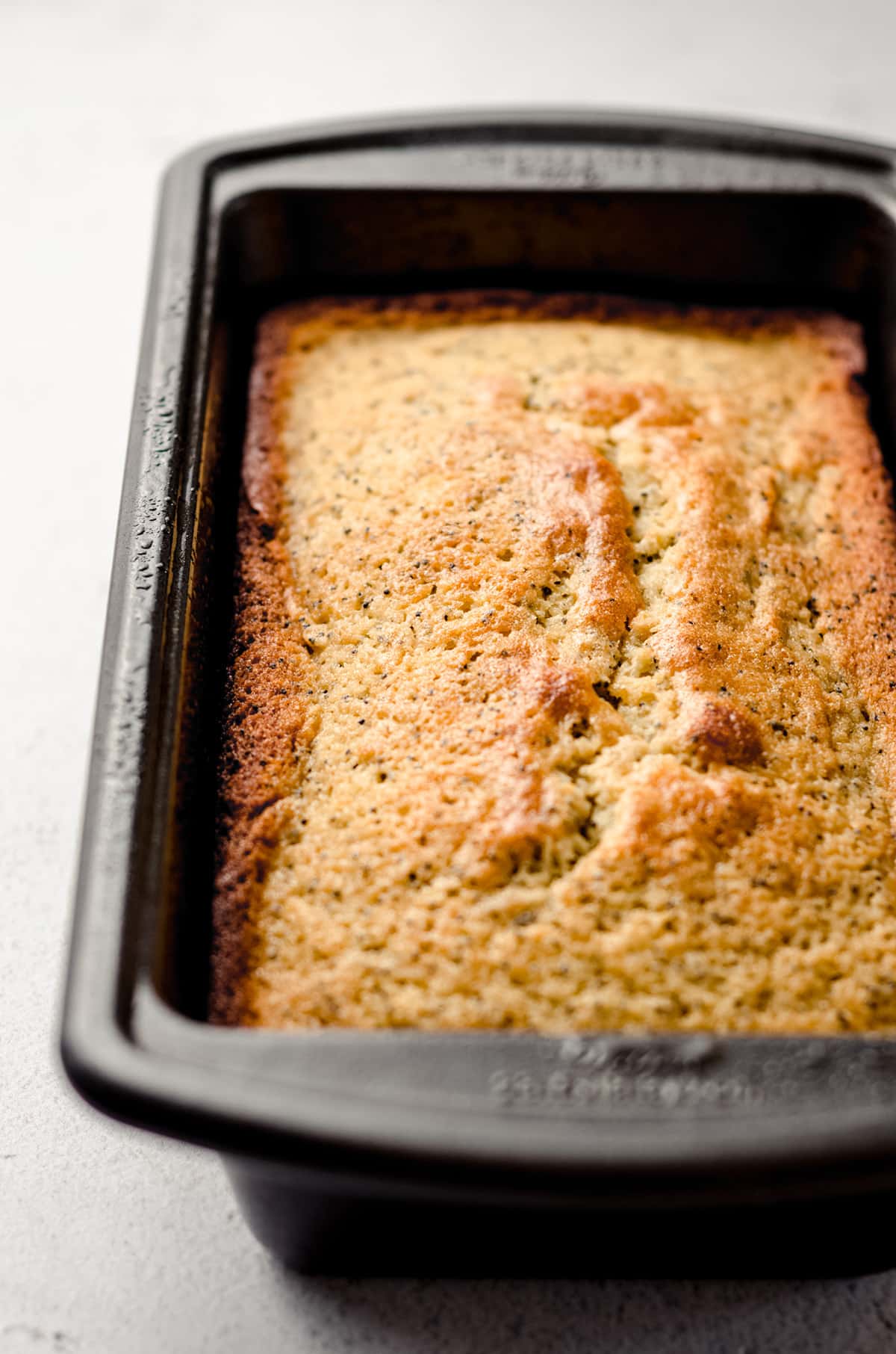 A lemon poppy seed loaf cooling in a loaf pan.