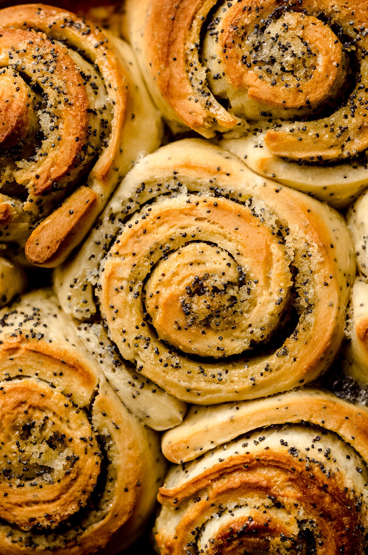 Lemon poppy seed sweet rolls that have been baked until light brown.