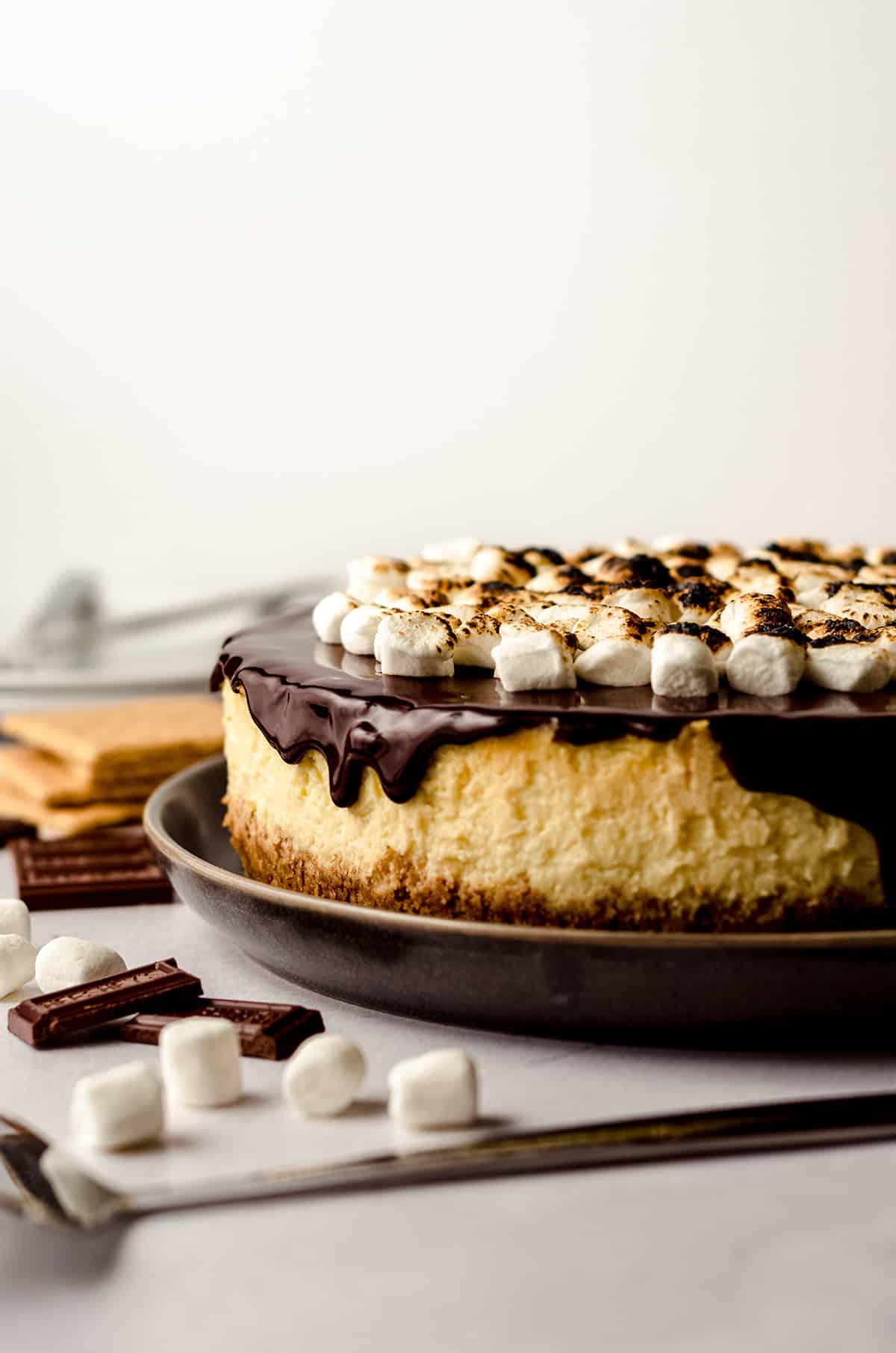 A large cheesecake with a chocolate fudge topping and toasted marshmallows.