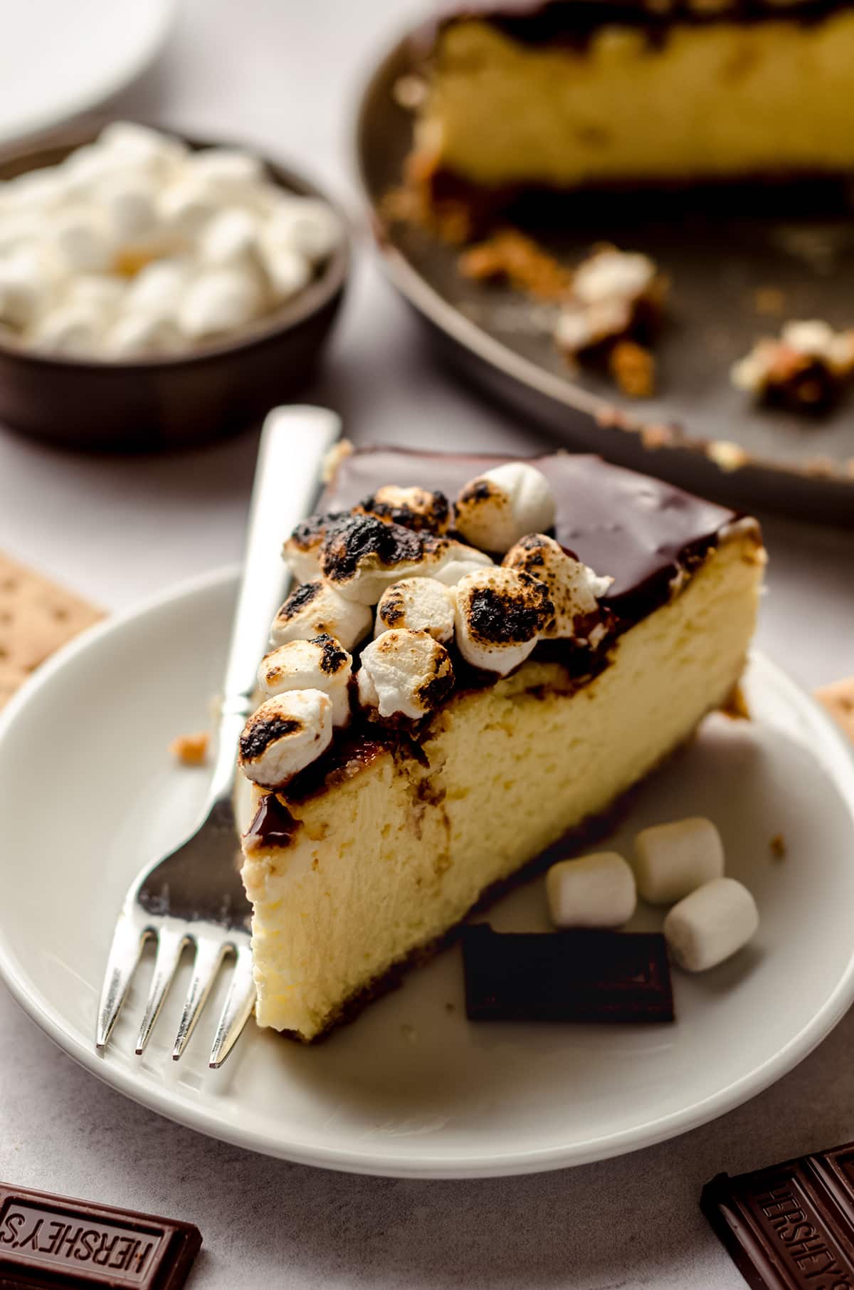 A slice of smores cheesecake, topped with toasted marshmallows.