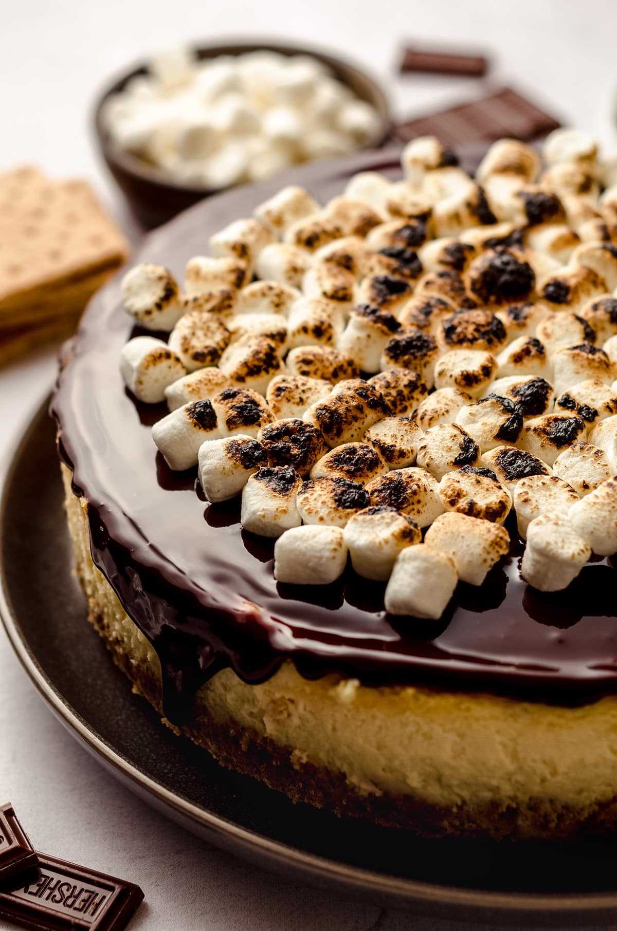 A chocolate topped cheesecake with a toasted marshmallow topping.