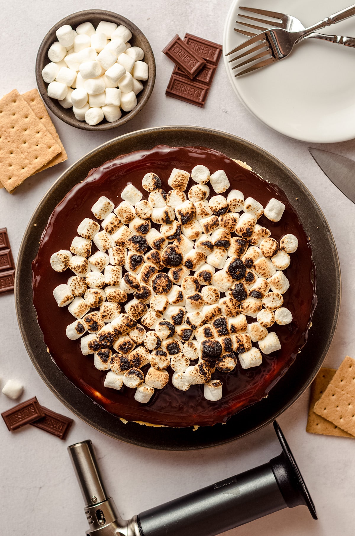 An overhead view of a large, chocolate topped cheesecake with toasted marshmallows.