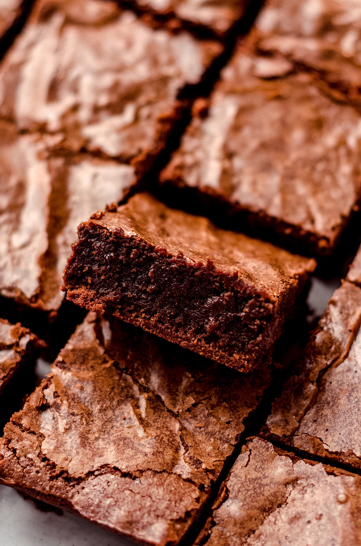 fudgy brownies cut into squares and one positioned to see the inside of the brownie