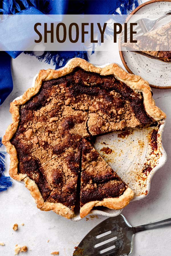 This simple shoofly pie recipe features a sticky molasses bottom and spiced crumb topping in a buttery and flaky homemade pie crust. via @frshaprilflours
