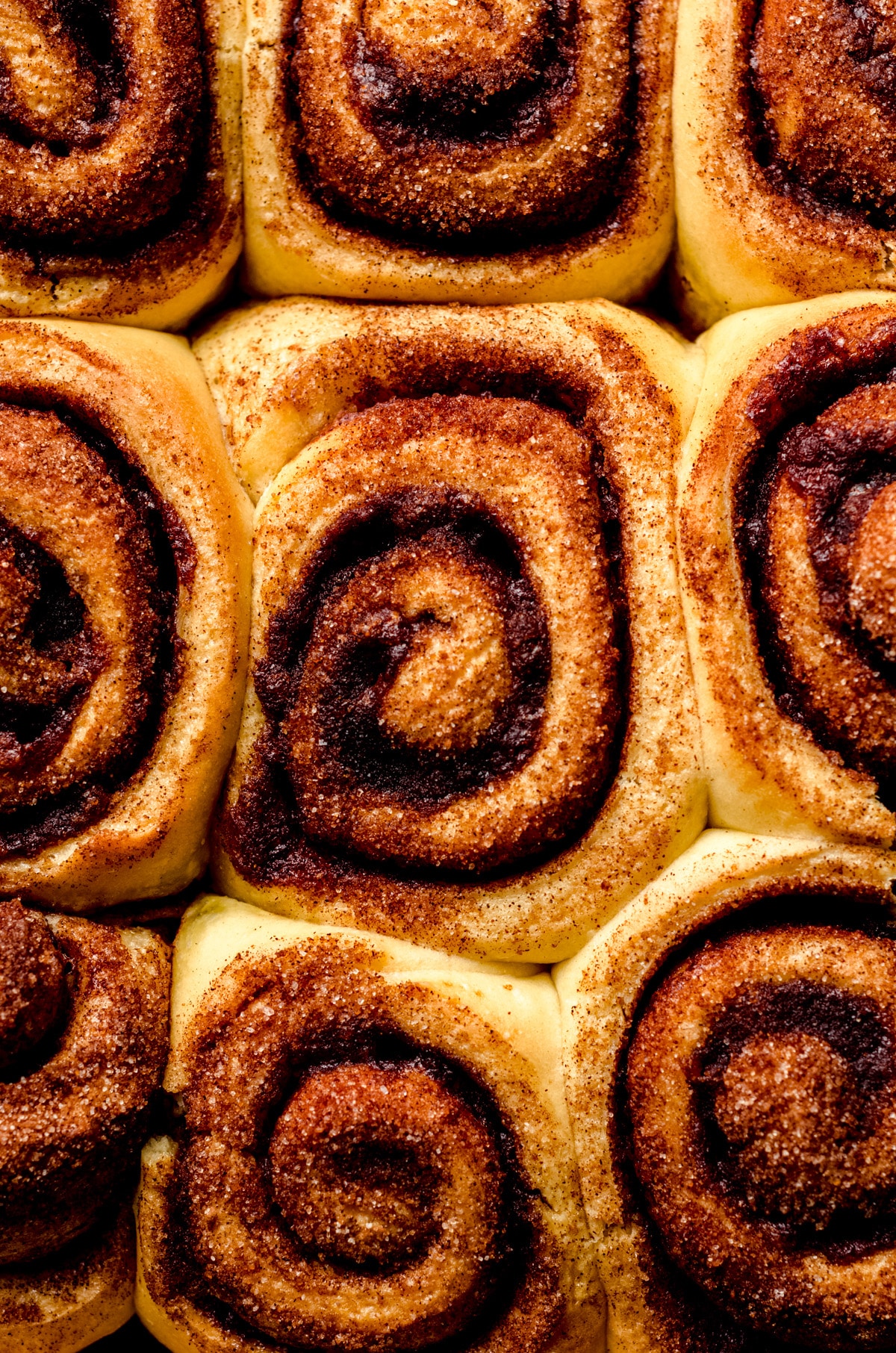 Close-up aerial photo of baked cinnamon rolls.