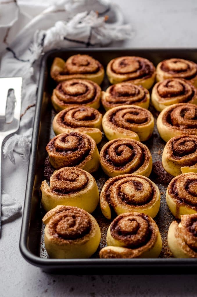 Mini cinnamon rolls without frosting in a baking pan.