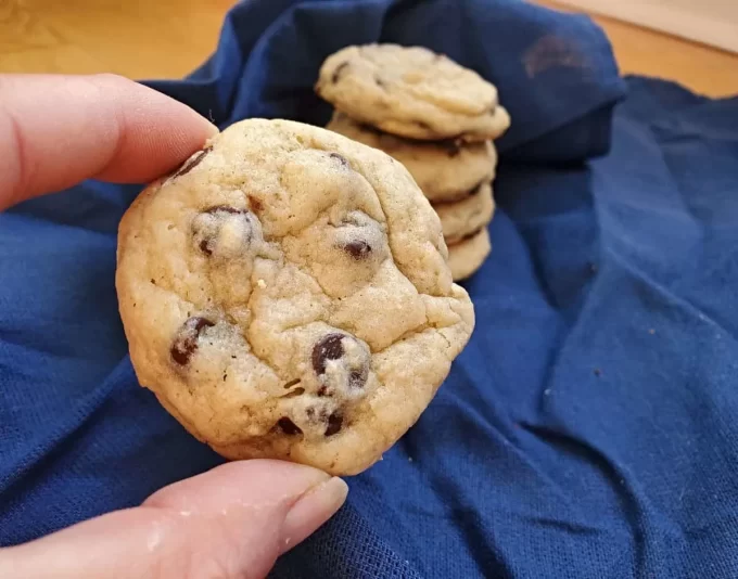 Fingers holding a sourdough chocolate chip cookie.