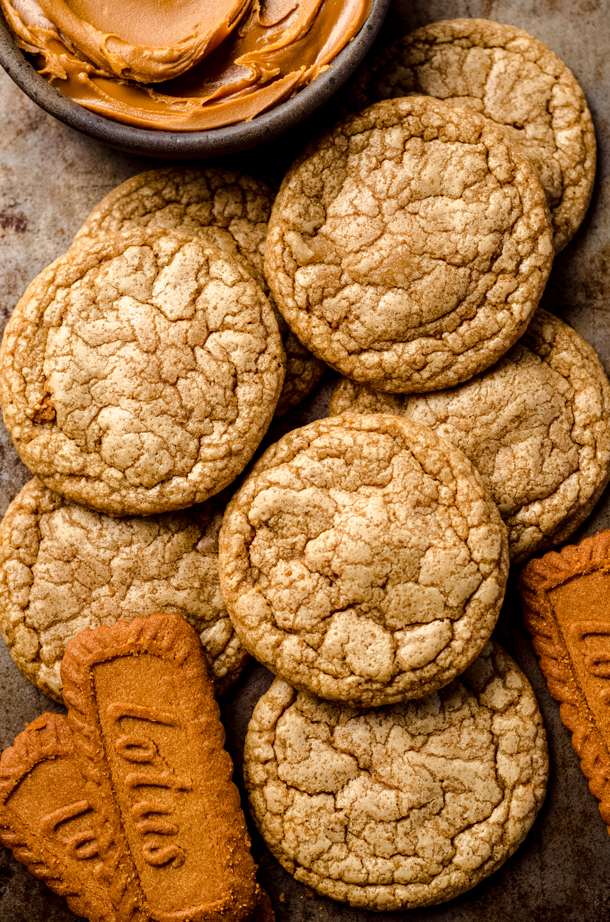 Aerial photo of Biscoff cookie butter cookies surrounded by Biscoff cookies.
