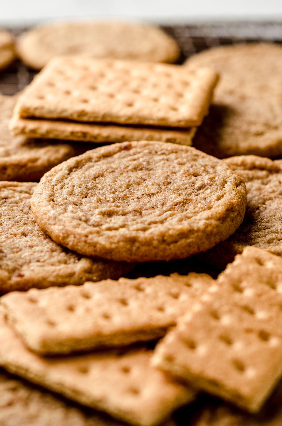Graham cracker cookies on a surface with graham crackers around it.
