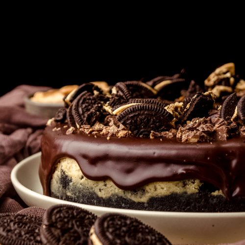 A chocolate peanut butter cheesecake on a plate.