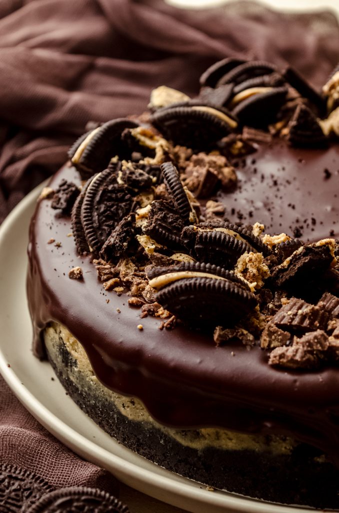 A chocolate peanut butter cheesecake on a plate.