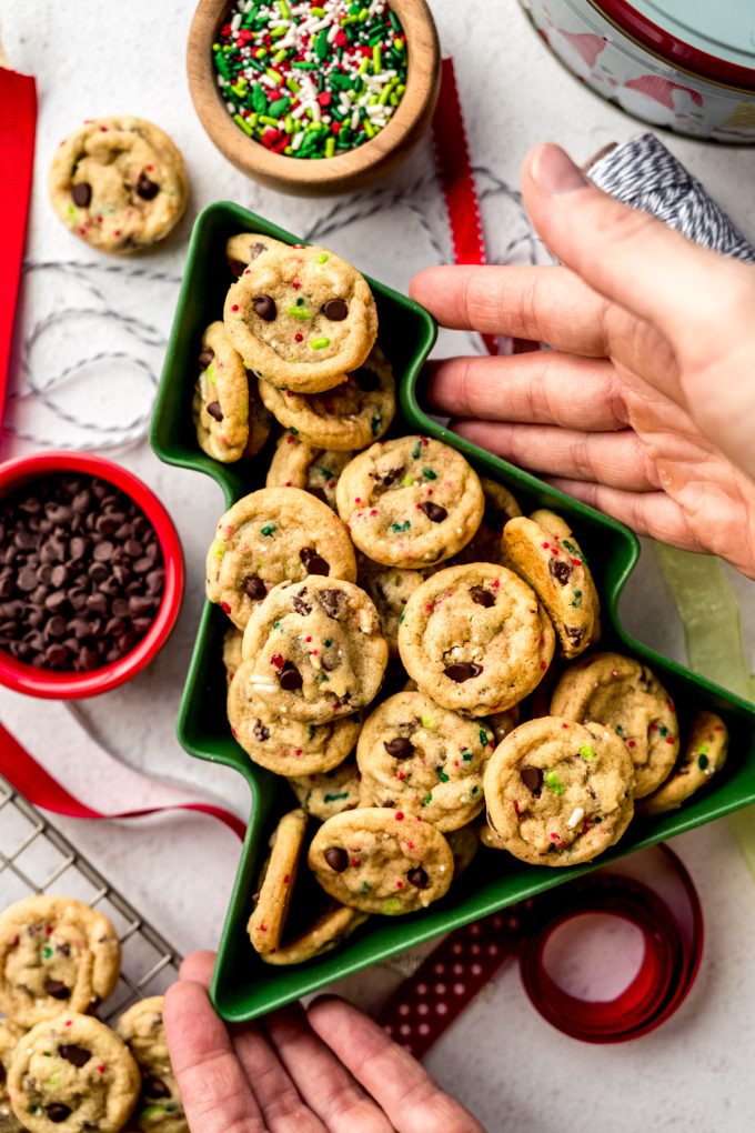 Aerial photo of mini Christmas chocolate chip cookies sitting in a tree shaped dish with hands around the bowl and Christmas ribbon and a small bowl of chocolate chips around it.