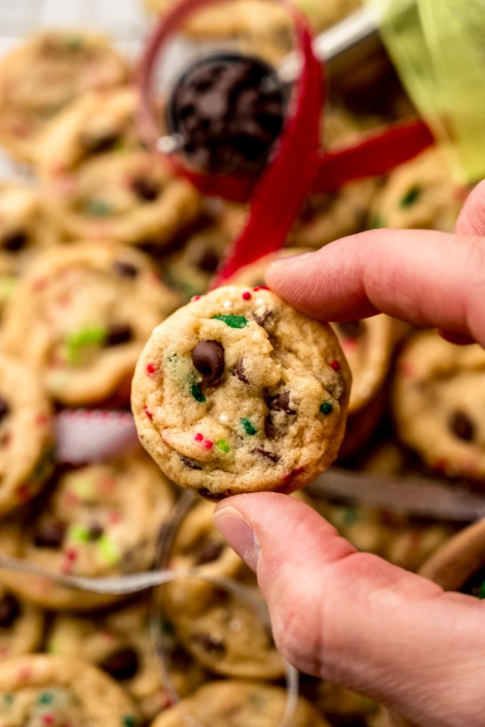 Someone's hand holding a Christmas chocolate chip cookie.