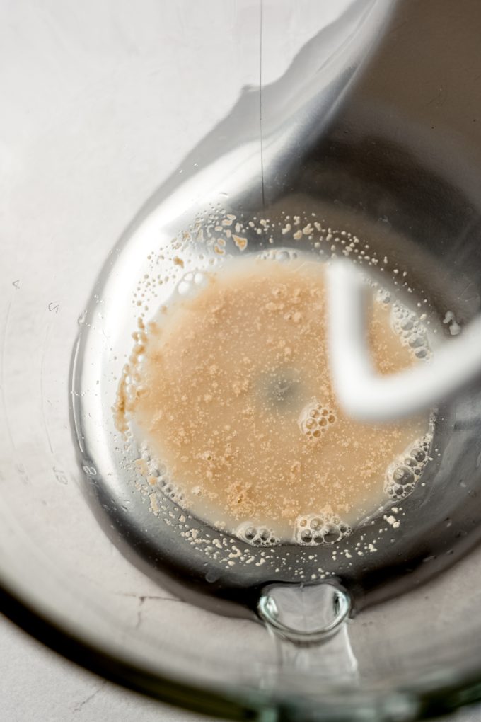 Yeast and water in the bowl of a stand mixer.