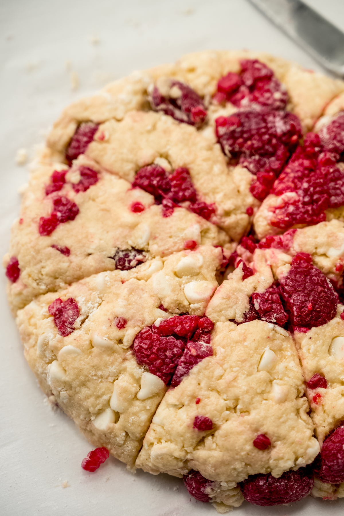 Raspberry white chocolate chip scone dough that has been pressed into a disc and sliced before baking.