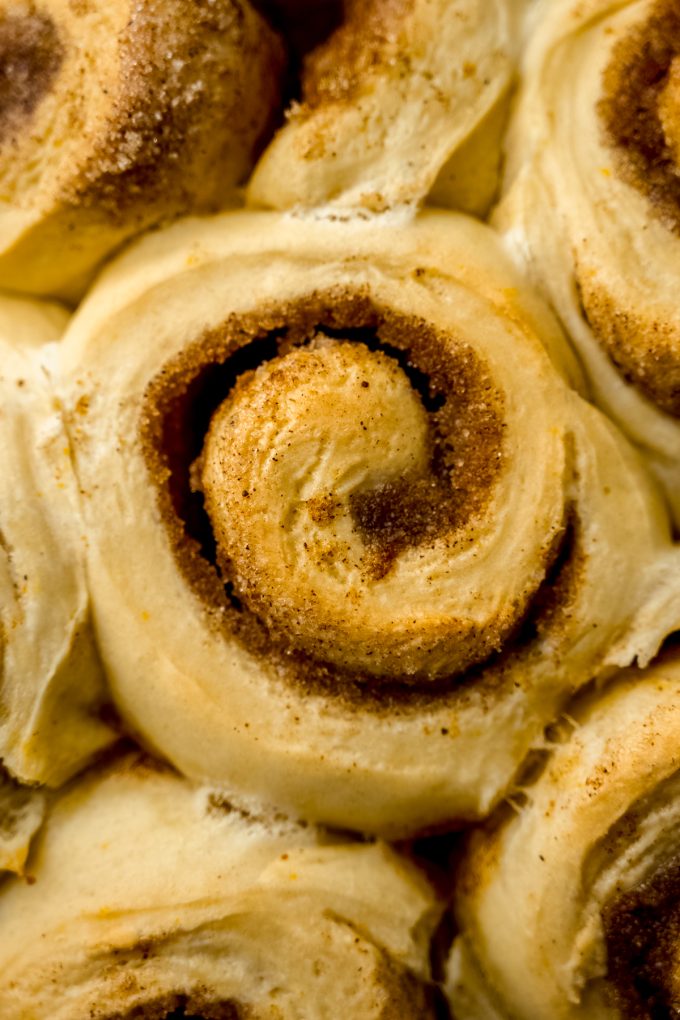 Orange cinnamon rolls in a baking dish before adding frosting.