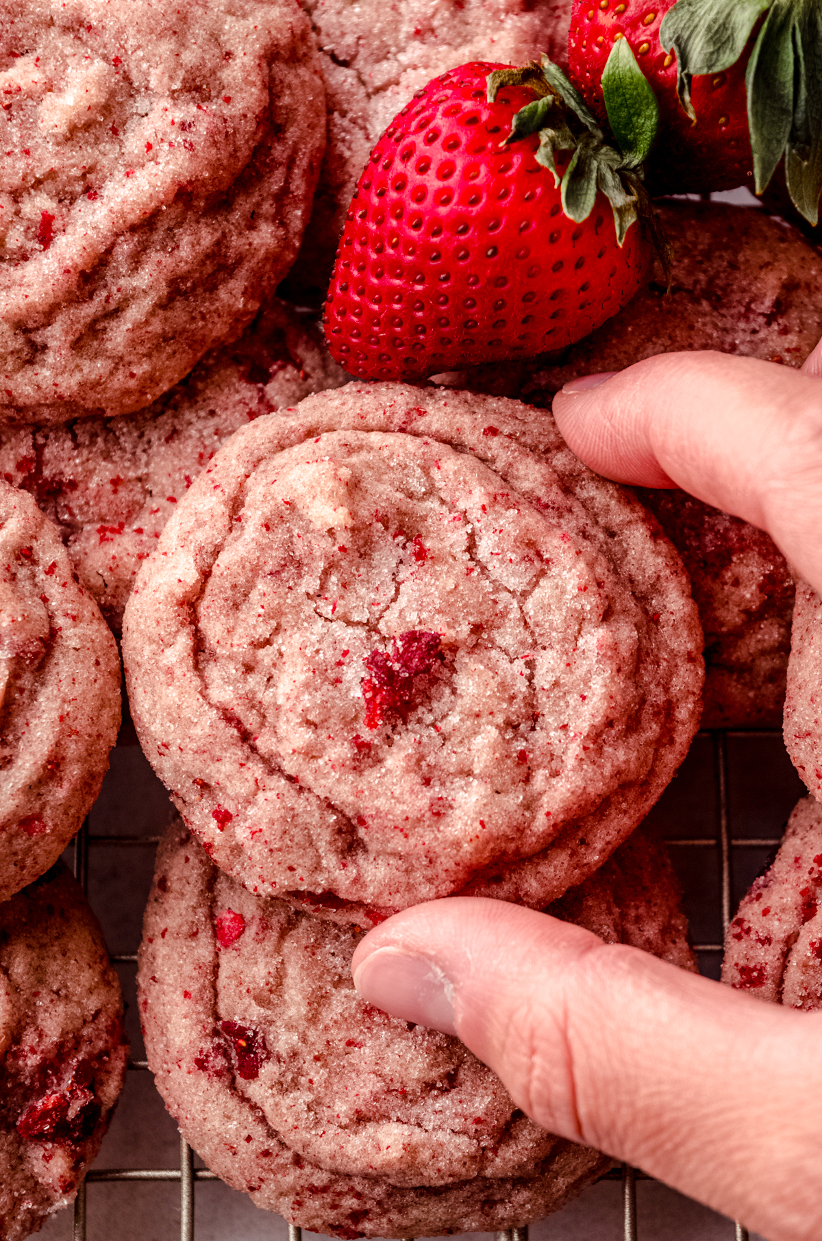 Someone is holding a strawberry sugar cookie that is sitting on a cooling rack with other cookies and fresh strawberries.