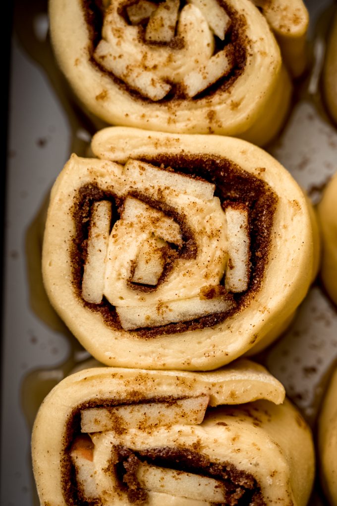 Apple cinnamon rolls sliced before baking.