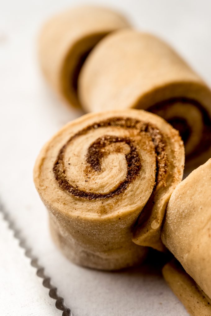 Chai cinnamon roll dough that has been sliced into rolls.