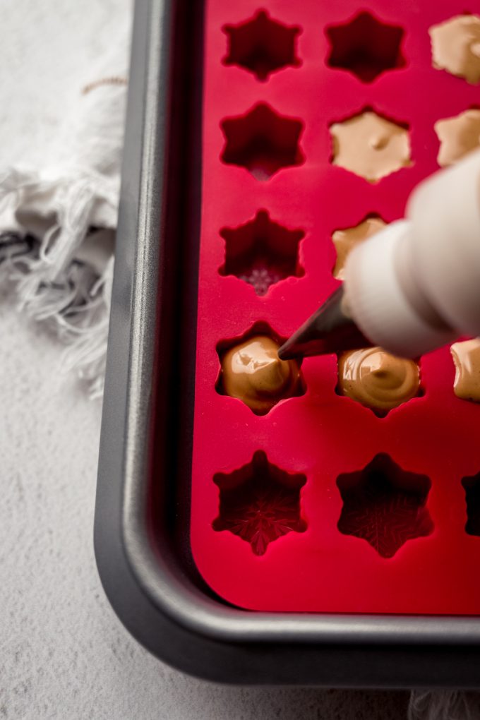 Someone is using a candy bottle fitted with a piping tip to fill a candy mold with peanut butter meltaway mixture.