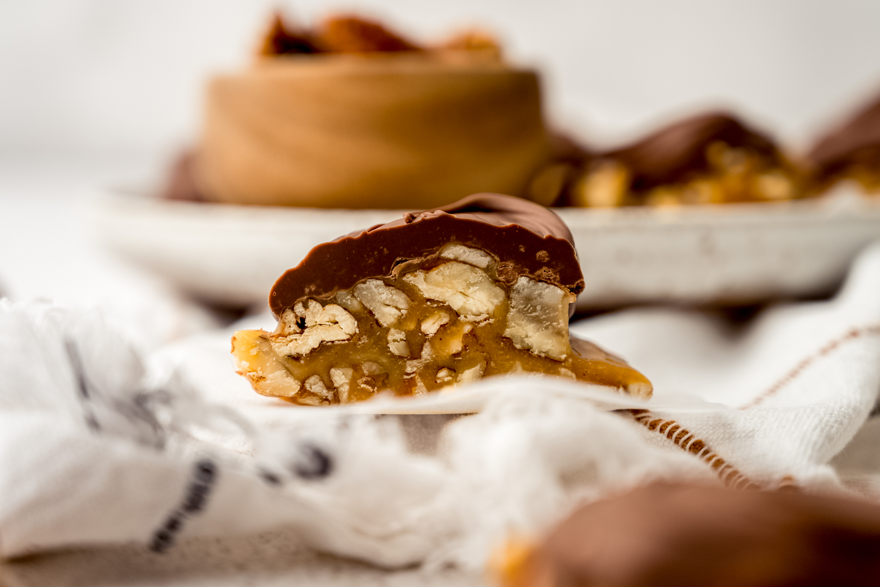 A homemade turtle that has been cut in half so you can see the cross section.