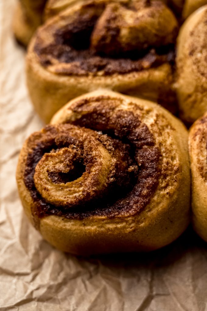 Gingerbread cinnamon rolls on parchment paper before getting frosted.