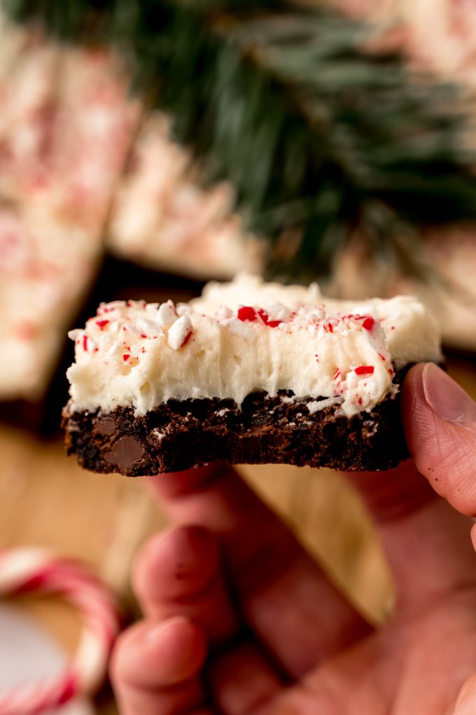 Someone is holding a peppermint bark cookie bar with a bite taken out of it.