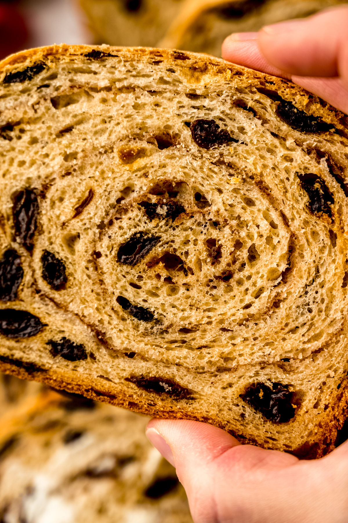 A closeup of the swirl in homemade cinnamon raisin bread.
