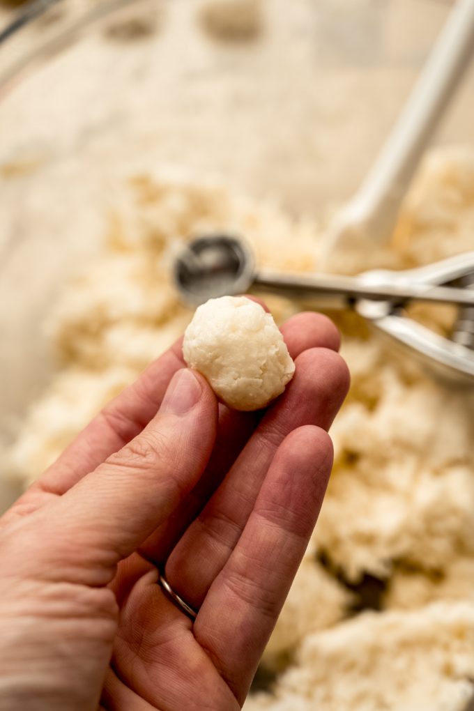 Someone is holding an Irish potato candy before it gets rolled into cinnamon.