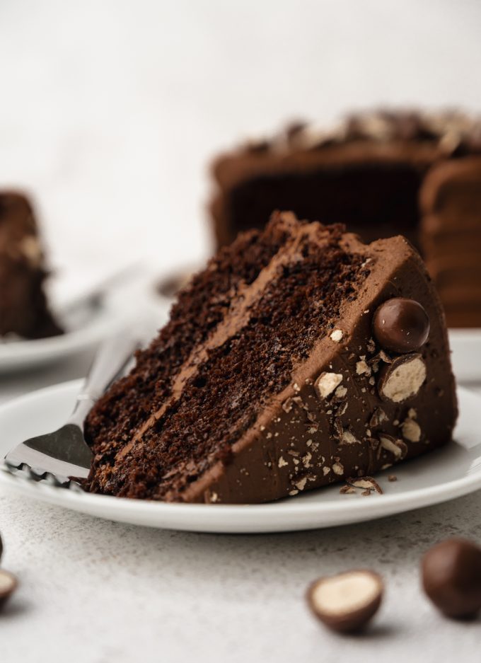 A slice of malt chocolate cake on a plate with a fork.