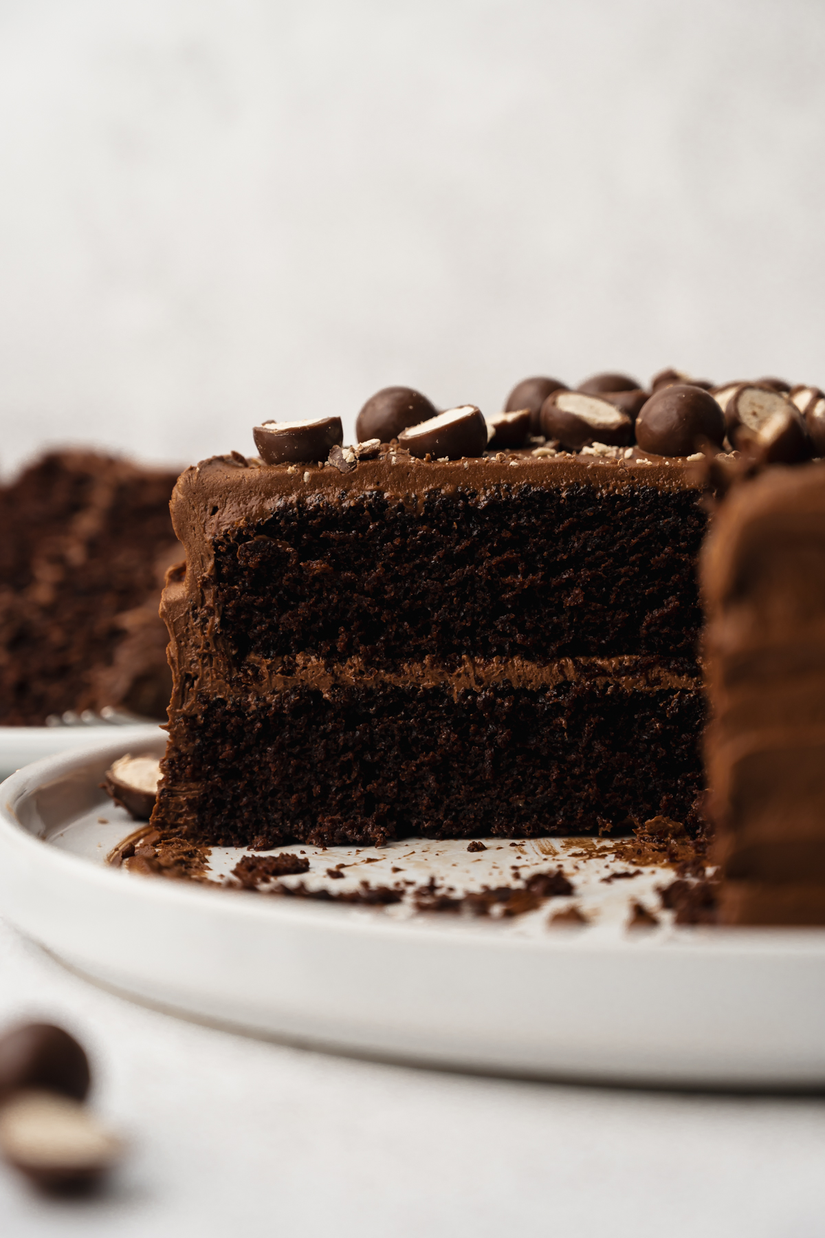 A sliced malt chocolate cake on a plate.