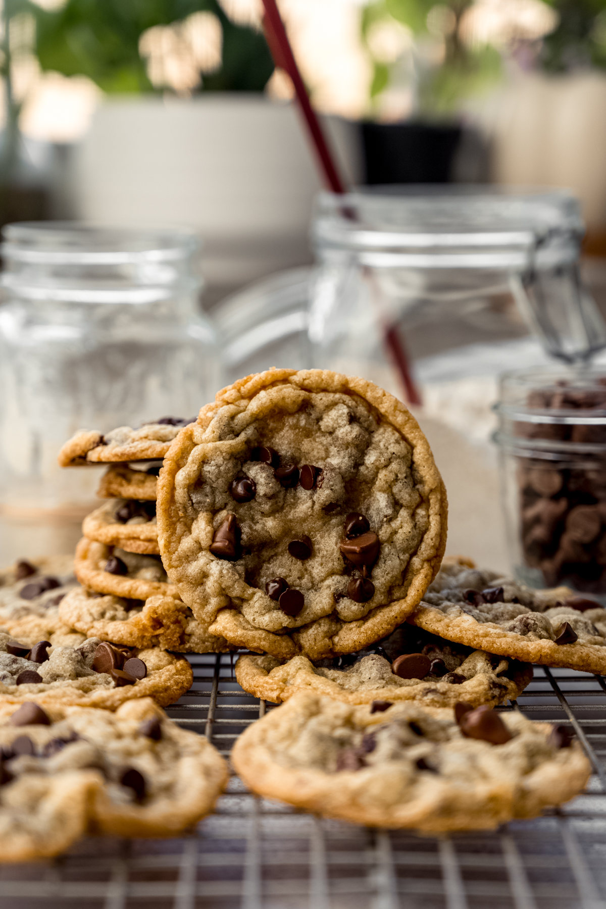 Sourdough discard chocolate chip cookies on a cooling rack with jars behind it.
