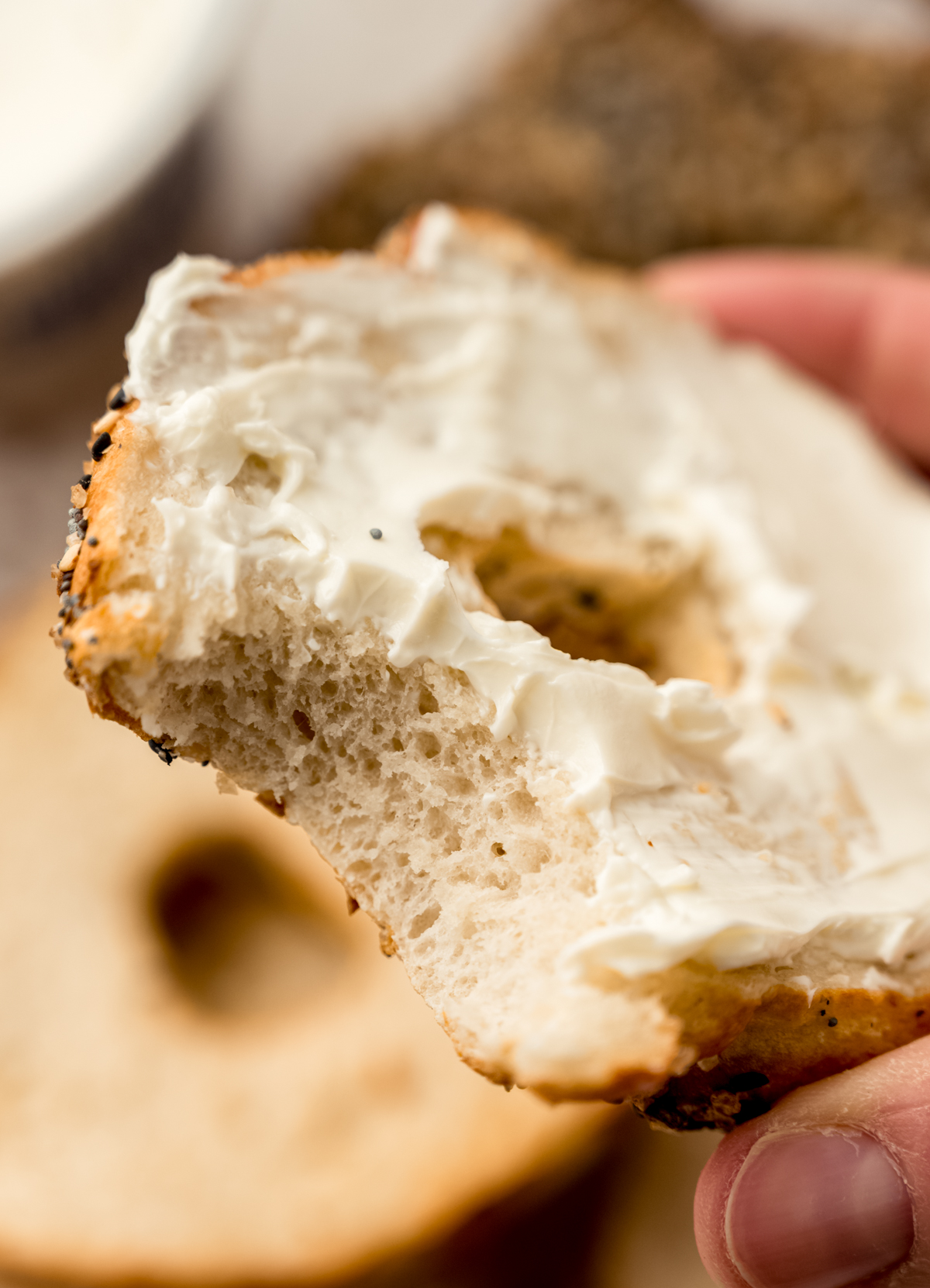 Someone is holding a half of a homemade bagel spread with cream cheese with a bite taken out of it.