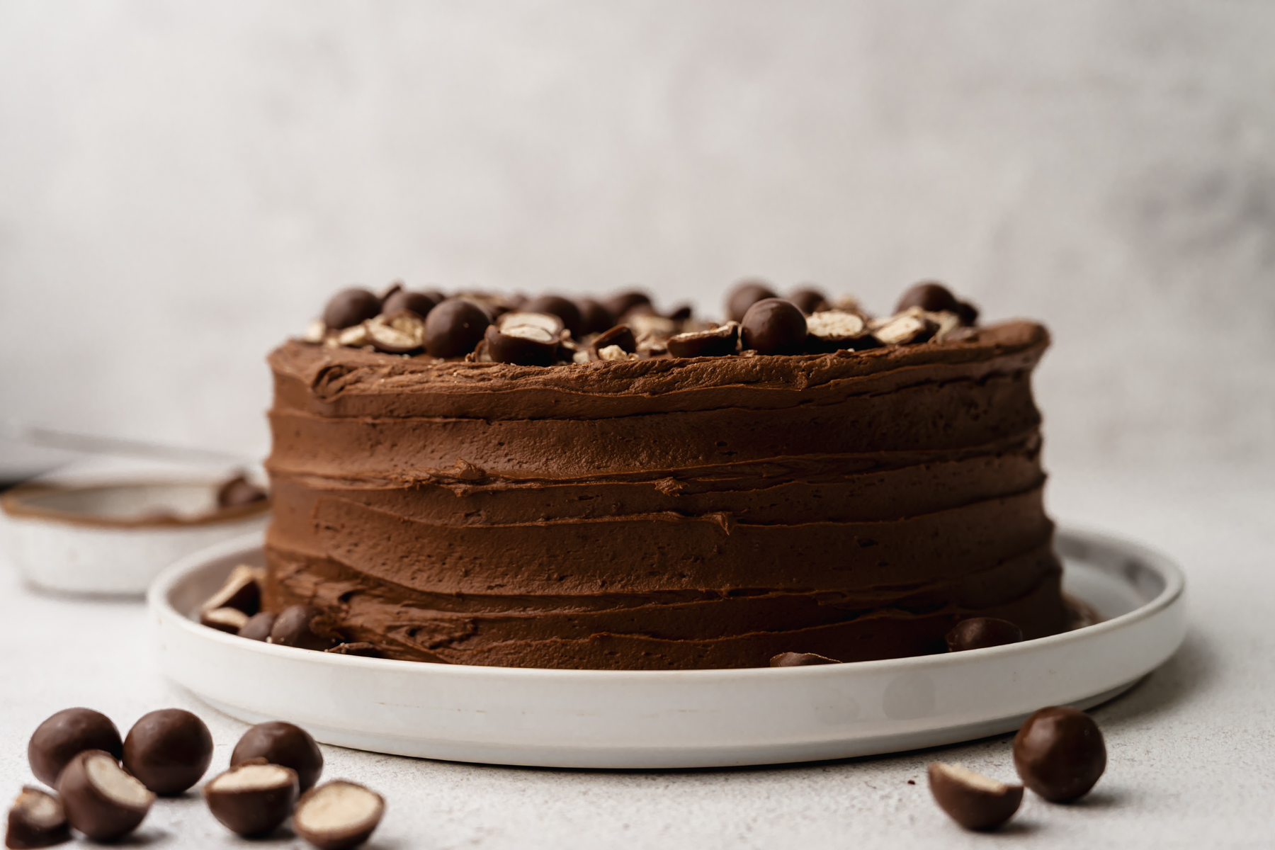 A malt chocolate cake on a plate.