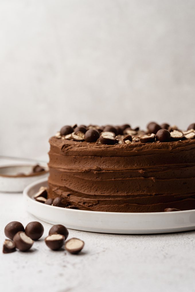 A malt chocolate cake on a plate.