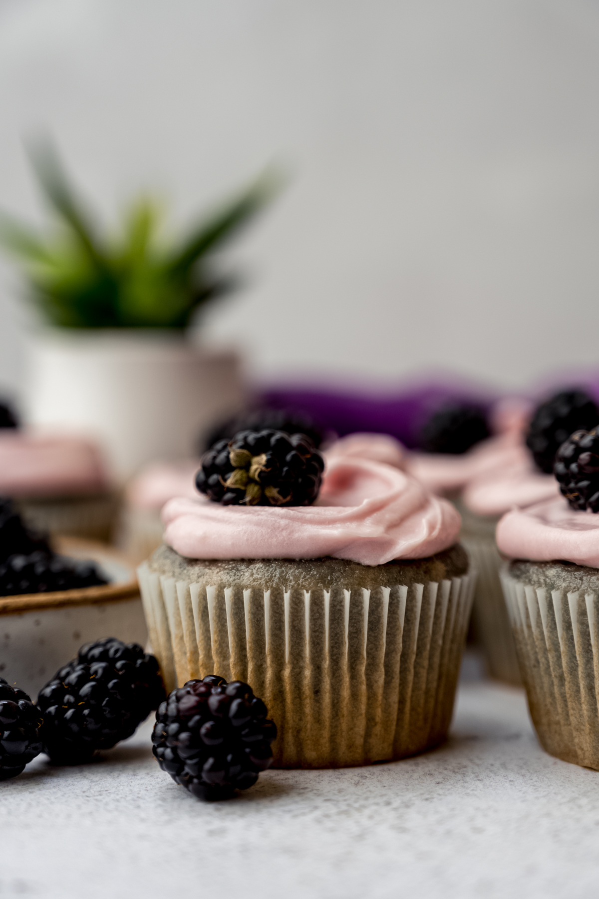 A blackberry cupcake on a surface.