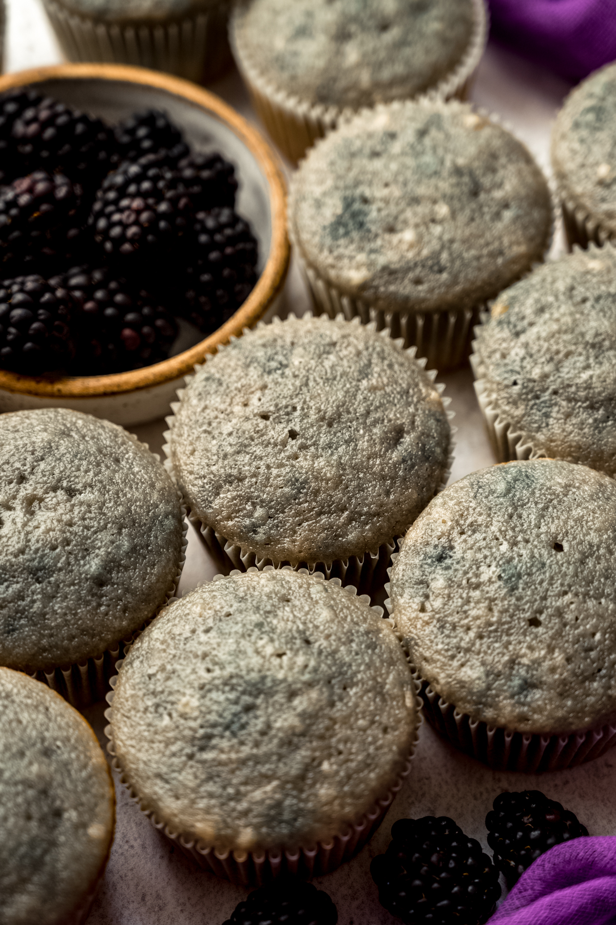 Blackberry cupcakes without frosting on them.